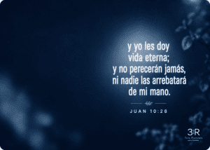 y yo les doy vida eterna; y no perecerán jamás, ni nadie las arrebatará de mi mano. JUAN 10:28