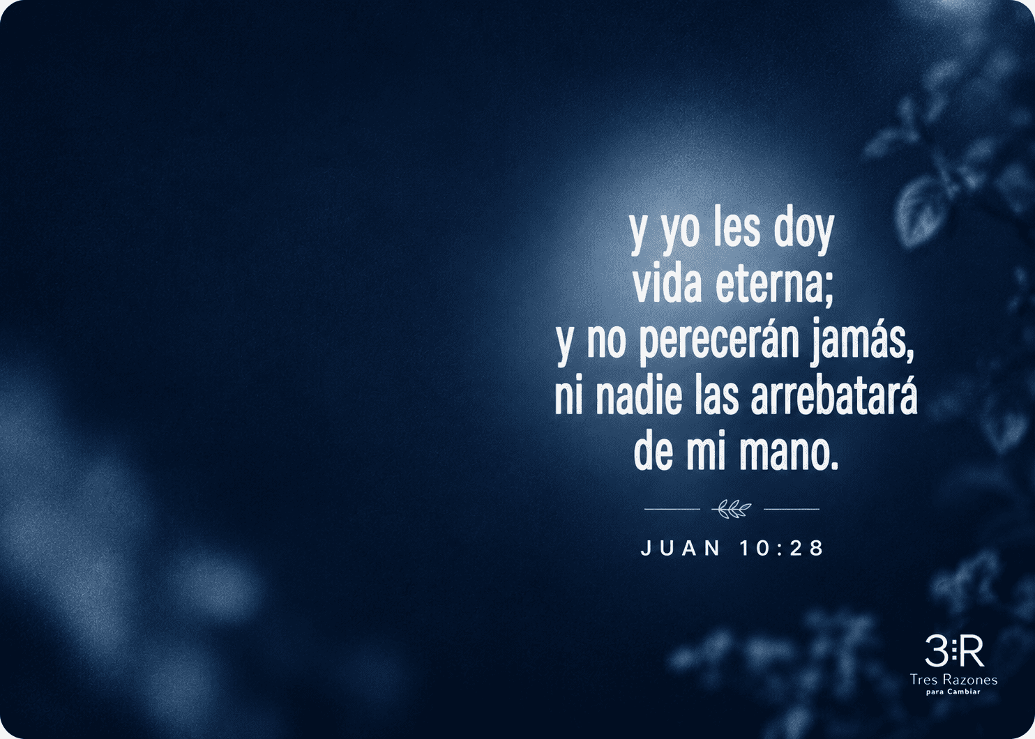 Salvo y seguro en las manos de Cristo