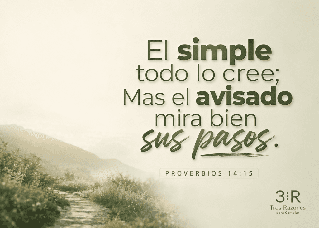 El simple todo lo cree; Mas el avisado mira bien sus pasos. Proverbios 14:15