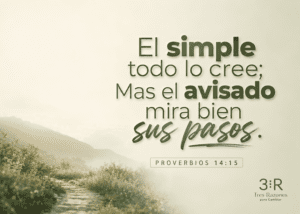 El simple todo lo cree; Mas el avisado mira bien sus pasos. Proverbios 14:15