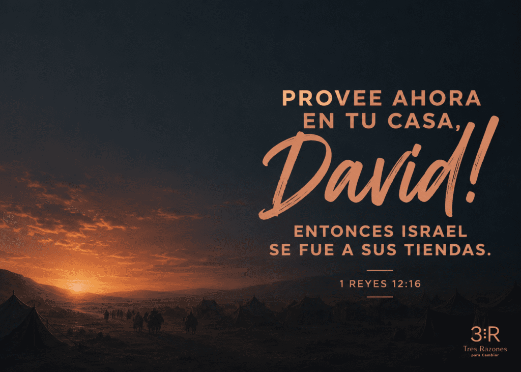 Provee ahora en tu casa david! Entonces israel se fue a sus tiendas. 1 REYES 12:16