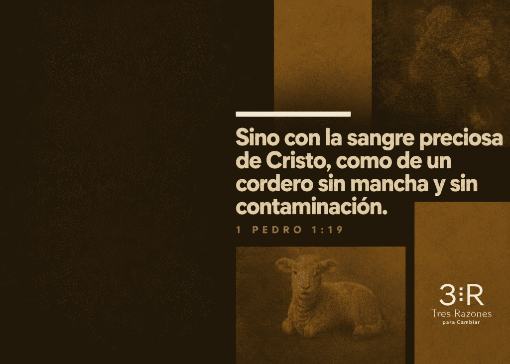Sino con la sangre preciosa de Cristo, como de un cordero sin mancha y sin contaminación. 1 PEDRO 1:19