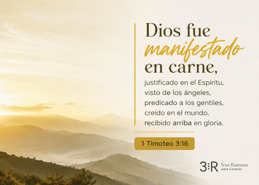 Dios fue manifestado en carne, justificado en el Espíritu, visto de los ángeles, predicado a los gentiles, creído en el mundo, recibido arriba en gloria. 1 Timoteo 3:16