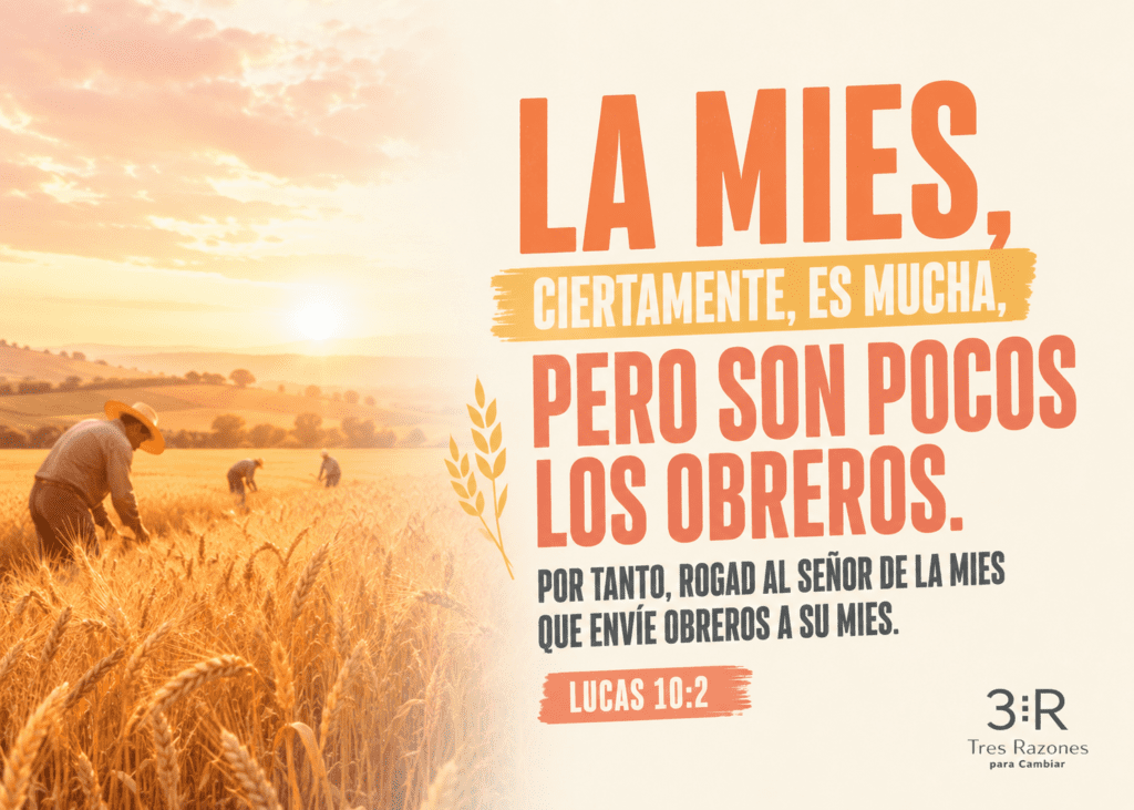La mies, ciertamente, es mucha, pero son pocos los obreros. Por tanto, rogad al Señor de la mies que envíe obreros a su mies. LUCAS 10:2