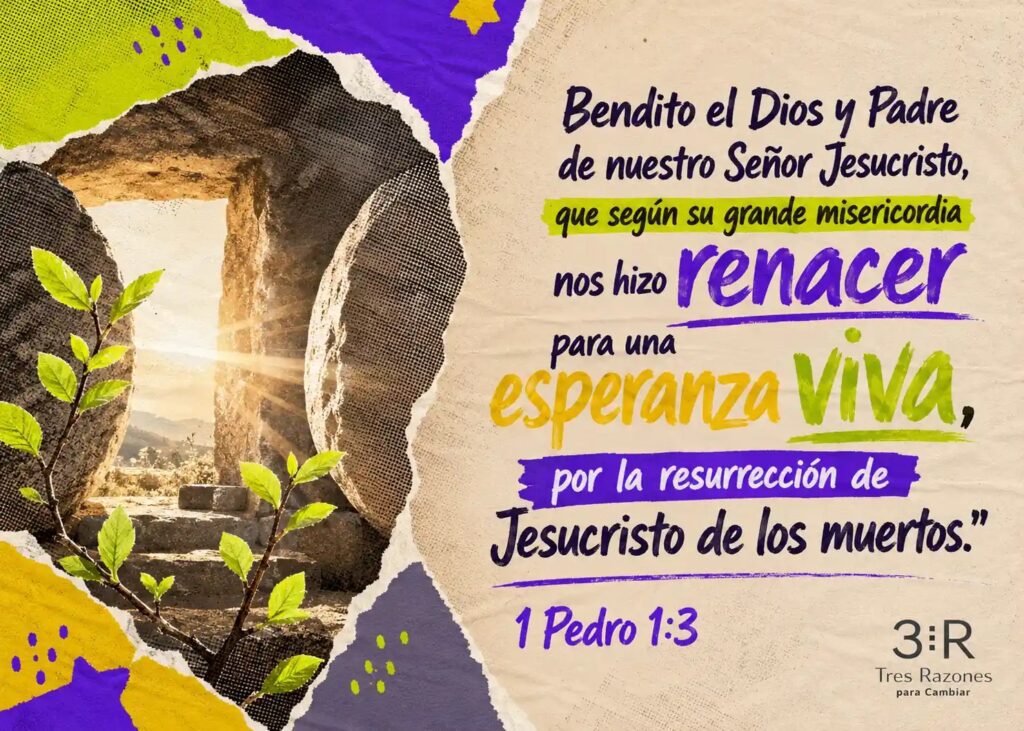 Bendito el Dios y Padre de nuestro Señor Jesucristo, que según su grande misericordia nos hizo renacer para una esperanza VIva, por la resurrección de Jesucristo de los muertos."