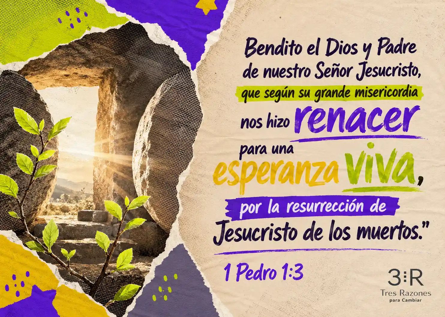 Bendito el Dios y Padre de nuestro Señor Jesucristo, que según su grande misericordia nos hizo renacer para una esperanza VIva, por la resurrección de Jesucristo de los muertos."