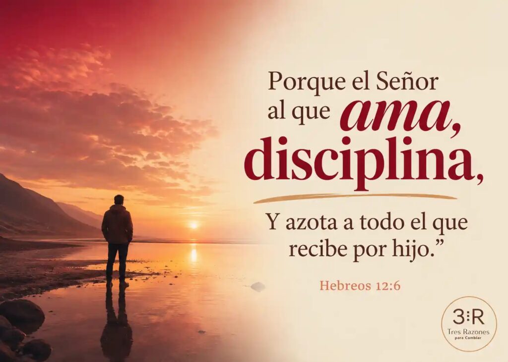 Porque el Señor al que ama, disciplina, Y azota a todo el que recibe por hijo." Hebreos 12:6