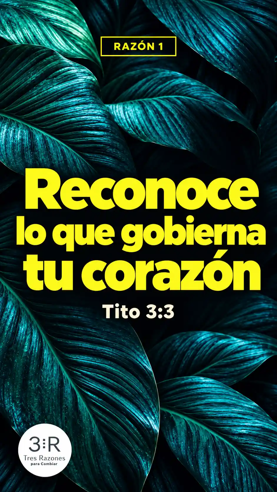 Razón 1: Reconoce lo que gobierna tu corazón — Tito 3:3, en letras amarillas sobre hojas verde azulado.