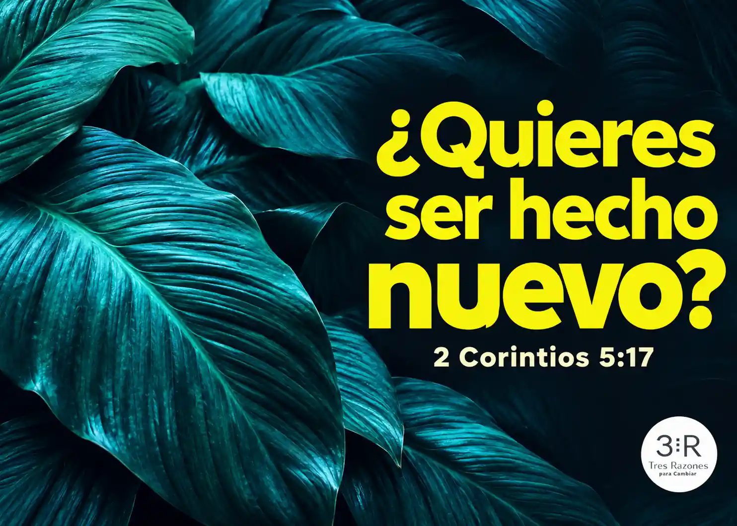¿Quieres ser hecho nuevo? — 2 Corintios 5:17, en letras amarillas sobre hojas verde azulado; portada horizontal TRC.