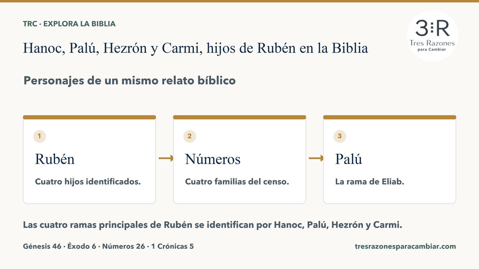 Infografía de Hanoc, Palú, Hezrón y Carmi, hijos de Rubén: Rubén — Cuatro hijos identificados; Números — Cuatro familias del censo; Palú — La rama de Eliab.
