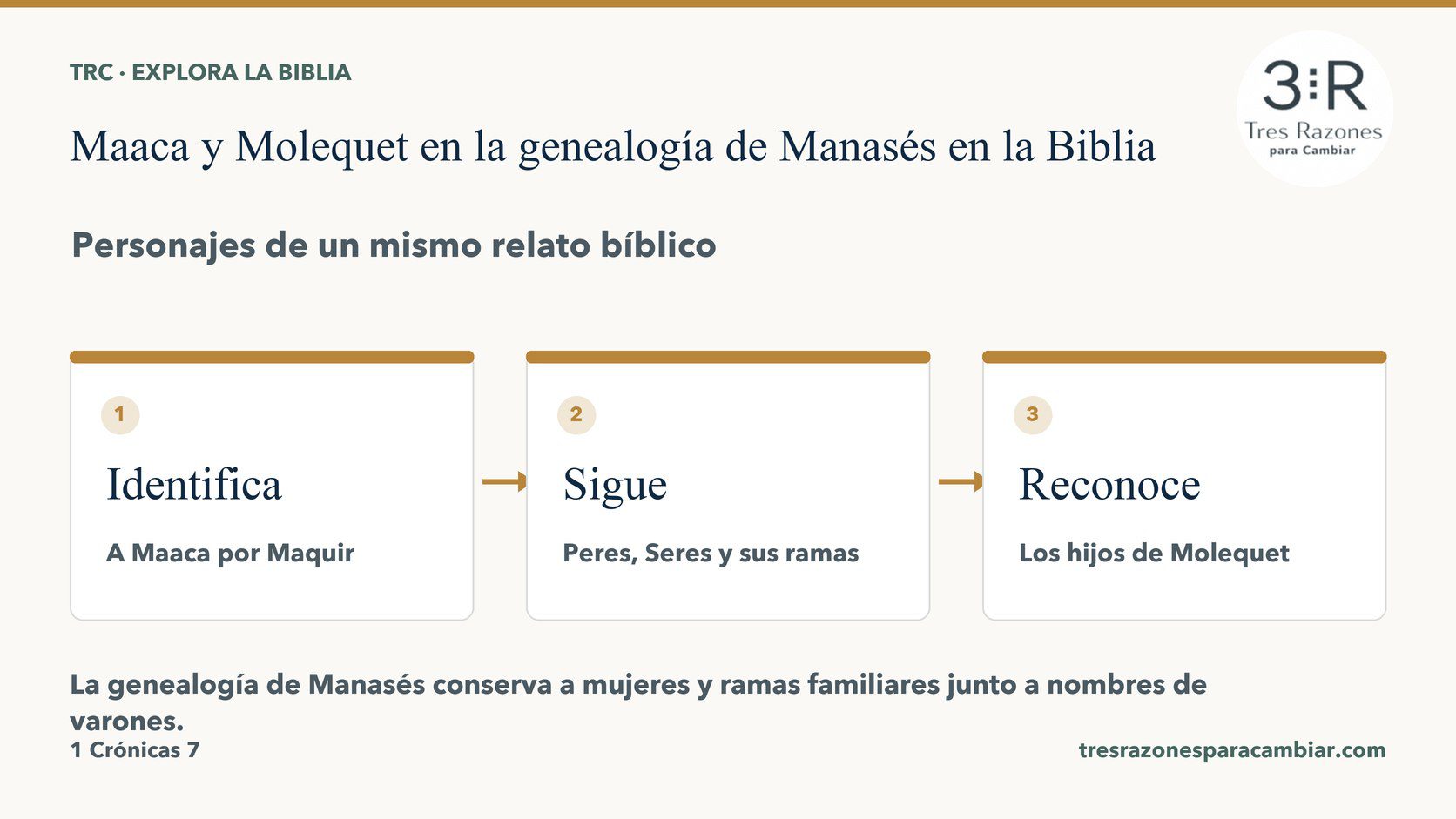 Infografía de Maaca y Molequet en la genealogía de Manasés: Identifica — A Maaca por Maquir; Sigue — Peres, Seres y sus ramas; Reconoce — Los hijos de Molequet.