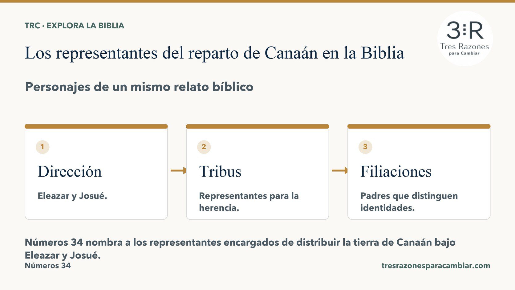 Infografía de Los representantes del reparto de Canaán: Dirección — Eleazar y Josué; Tribus — Representantes para la herencia; Filiaciones — Padres que distinguen identidades.