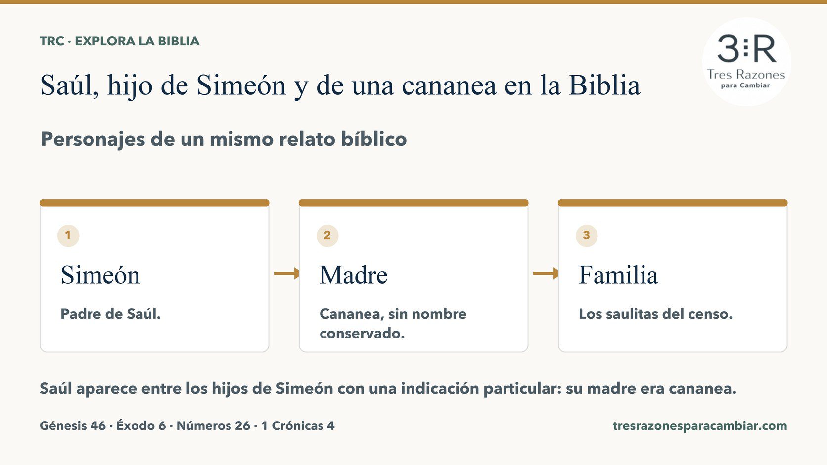 Infografía de Saúl, hijo de Simeón y de una cananea: Simeón — Padre de Saúl; Madre — Cananea, sin nombre conservado; Familia — Los saulitas del censo.