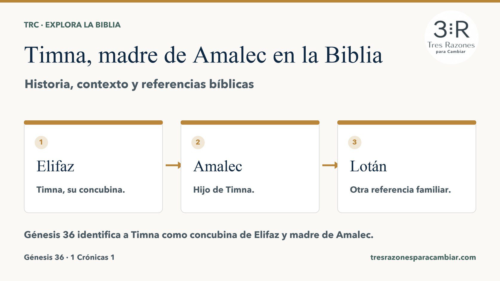 Infografía de Timna, madre de Amalec: Elifaz — Timna, su concubina; Amalec — Hijo de Timna; Lotán — Otra referencia familiar.